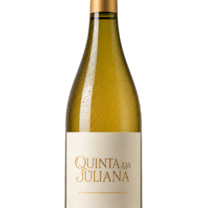 Vinho Sauvignon Blanc Alvorada