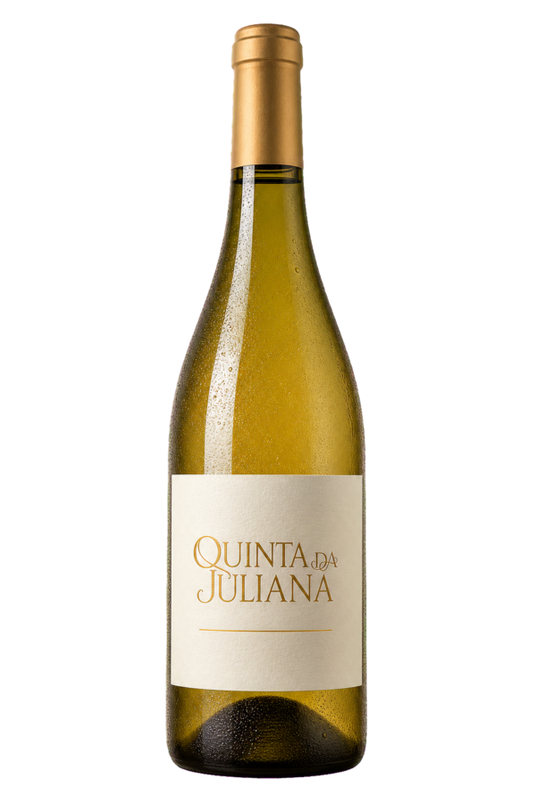 Vinho Sauvignon Blanc Alvorada