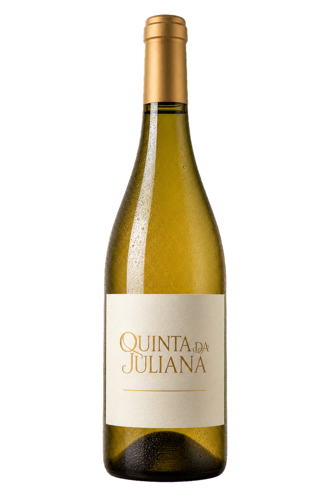 Vinho Sauvignon Blanc Alvorada