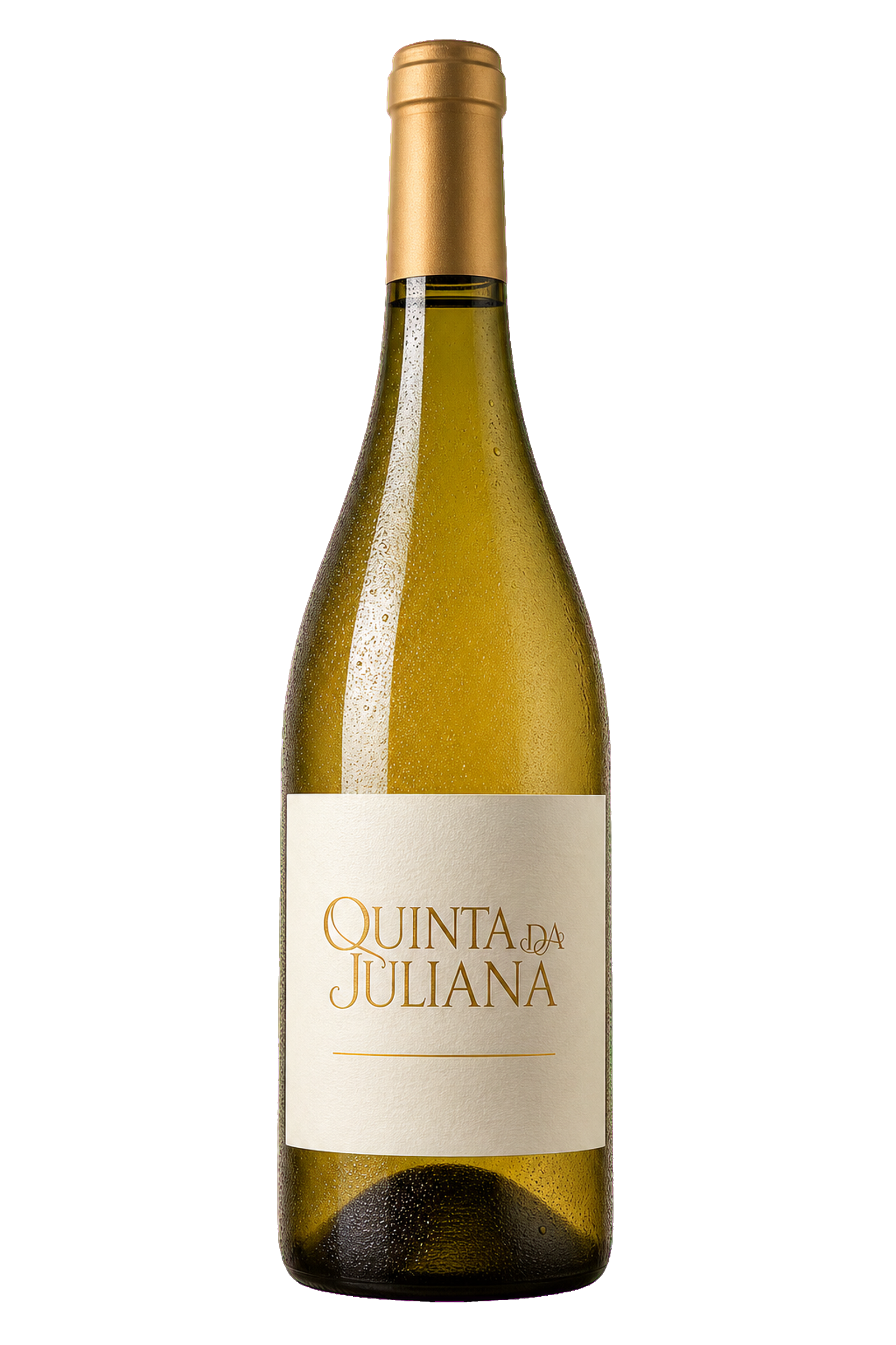 Vinho Sauvignon Blanc Alvorada