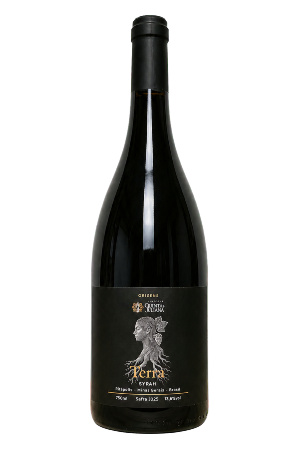 Vinho Tinto Syrah Terra