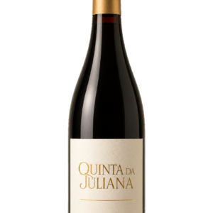 Vinho Tinto Syrah Terra