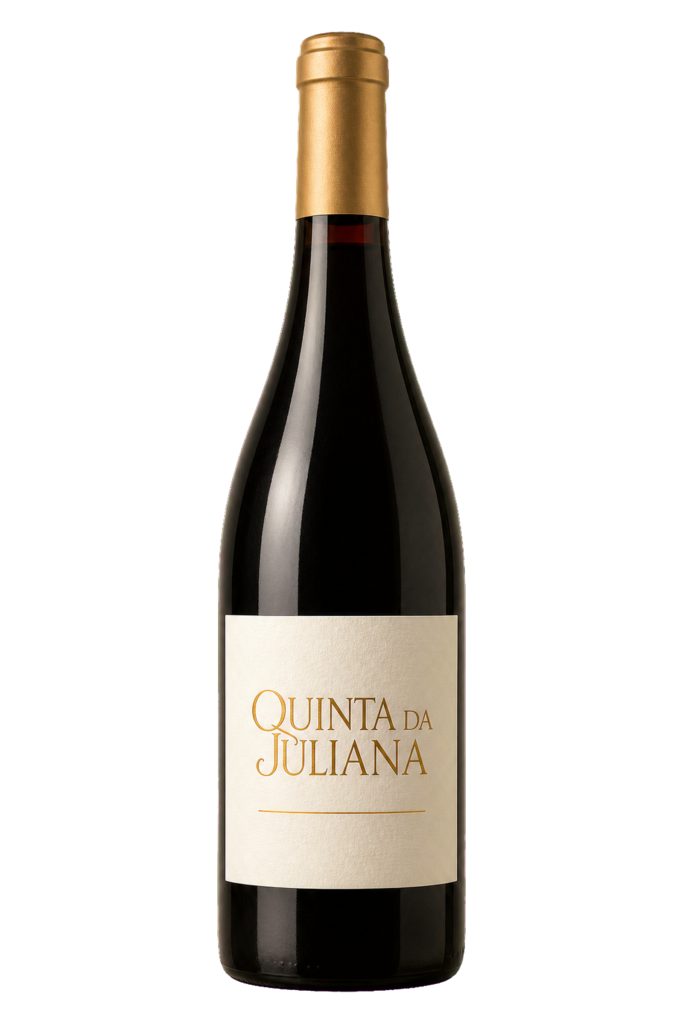 Vinho Tinto Syrah Terra