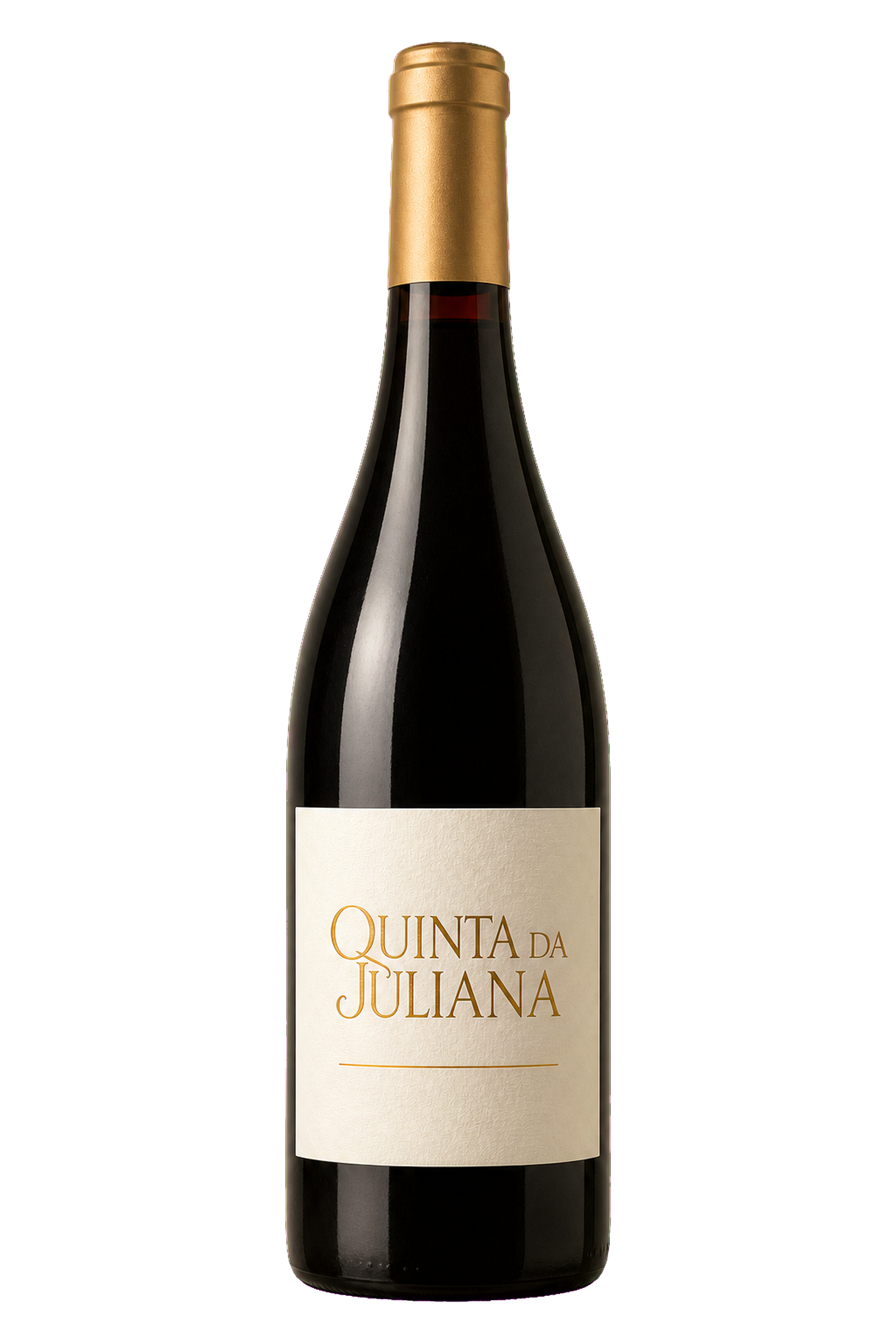 Vinho Tinto Syrah Terra